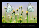 Natur Fotokalender 2027 - 1