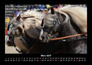 Die Welt der Pferde Fotokalender 2027 - 3
