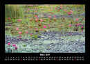 Rosen-Kalender Fotokalender 2027 - 3