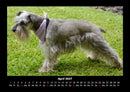 Der Hundekalender Fotokalender 2027 - 4