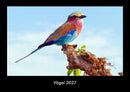Vögel Fotokalender 2027 - Hauptbild