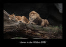 Löwen in der Wildnis Fotokalender 2027 - Hauptbild