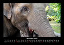 Welt der Tiere Fotokalender 2027 - 11