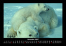 Welt der Tiere Fotokalender 2027 - 12