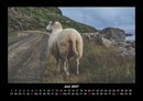 Welt der Tiere Fotokalender 2027 - 6