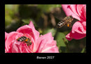 Bienen Fotokalender 2027 - Hauptbild