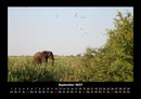 Bilder der Natur Fotokalender 2027 - 9