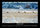 Bilder der Natur Fotokalender 2027 - 12