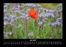 Blick in die Natur Fotokalender 2027 - 7