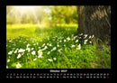 Pflanzen und Blüten Fotokalender 2027 - 10