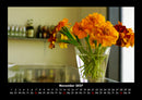 Pflanzen und Blüten Fotokalender 2027 - 11