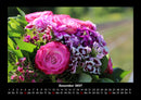 Pflanzen und Blüten Fotokalender 2027 - 12