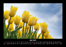 Pflanzen und Blüten Fotokalender 2027 - 5