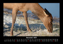 Der Tierkalender Fotokalender 2027 - 11