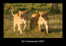 Der Tierkalender Fotokalender 2027 - Hauptbild