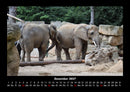 Der Elefantenkalender Fotokalender 2027 - 12
