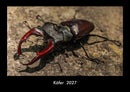 Käfer  Fotokalender 2027 - Hauptbild