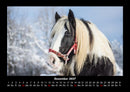 Pferdegeflüster Fotokalender 2027 - 12