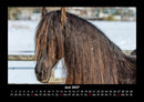 Pferdegeflüster Fotokalender 2027 - 6