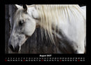 Pferdegeflüster Fotokalender 2027 - 8