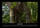 Waldzauber Fotokalender 2027 - 8