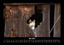 Für Katzenfreunde Fotokalender 2027 - 5