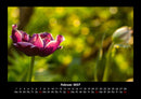 Naturlandschaften Fotokalender 2027 - 2