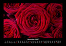 Blumenkalender Fotokalender 2027 - 11
