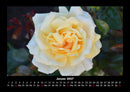 Blumenkalender Fotokalender 2027 - 1