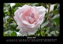 Blumenkalender Fotokalender 2027 - 2