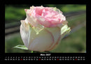 Blumenkalender Fotokalender 2027 - 3