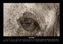 Elefanten - Die sanften Riesen Afrikas Fotokalender 2027 - 7