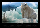 Pinguine & Eisbären Fotokalender 2027 - 2