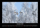 Winterzauber Fotokalender 2027 - 12