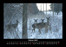 Winterzauber Fotokalender 2027 - 2