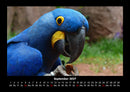 Vogelparadies Fotokalender 2027 - 9