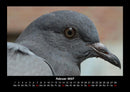 Vogelparadies Fotokalender 2027 - 2