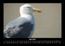 Vogelparadies Fotokalender 2027 - 5