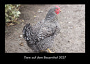 Tiere auf dem Bauernhof Fotokalender 2027 - Hauptbild