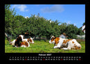 Tiere auf dem Bauernhof Fotokalender 2027 - 2
