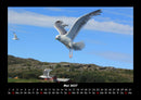 Nordsee Fotokalender 2027 - 5