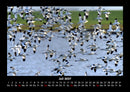 Nordsee Fotokalender 2027 - 7