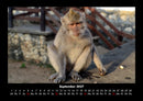 Indonesien Fotokalender 2027 - 9