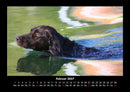 Tage am See Fotokalender 2027 - 2