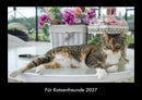 Für Katzenfreunde Fotokalender 2027 - Hauptbild