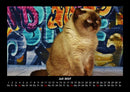 Für Katzenfreunde Fotokalender 2027 - 7