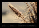 Natur Fotokalender 2027 - 5