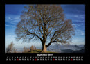 Bäume Fotokalender 2027 - 9