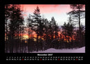 Bäume Fotokalender 2027 - 11
