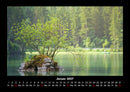 Bäume Fotokalender 2027 - 1